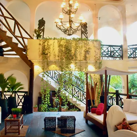 Riviera Del Sol Amazing Double Queen Junior Suite 304